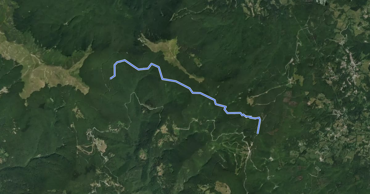 Маршрут Strada Passo delle Forbici - Passo delle Radici на спутниковом снимке
