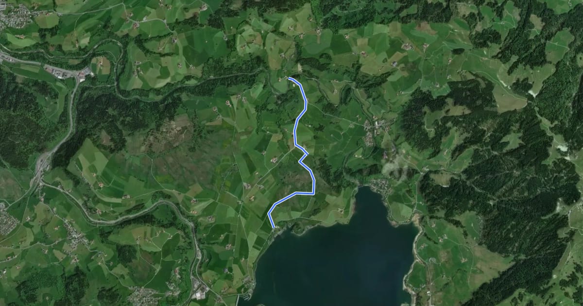 Маршрут Strandbad Einsiedeln - Tüfelsbrugg на спутниковом снимке