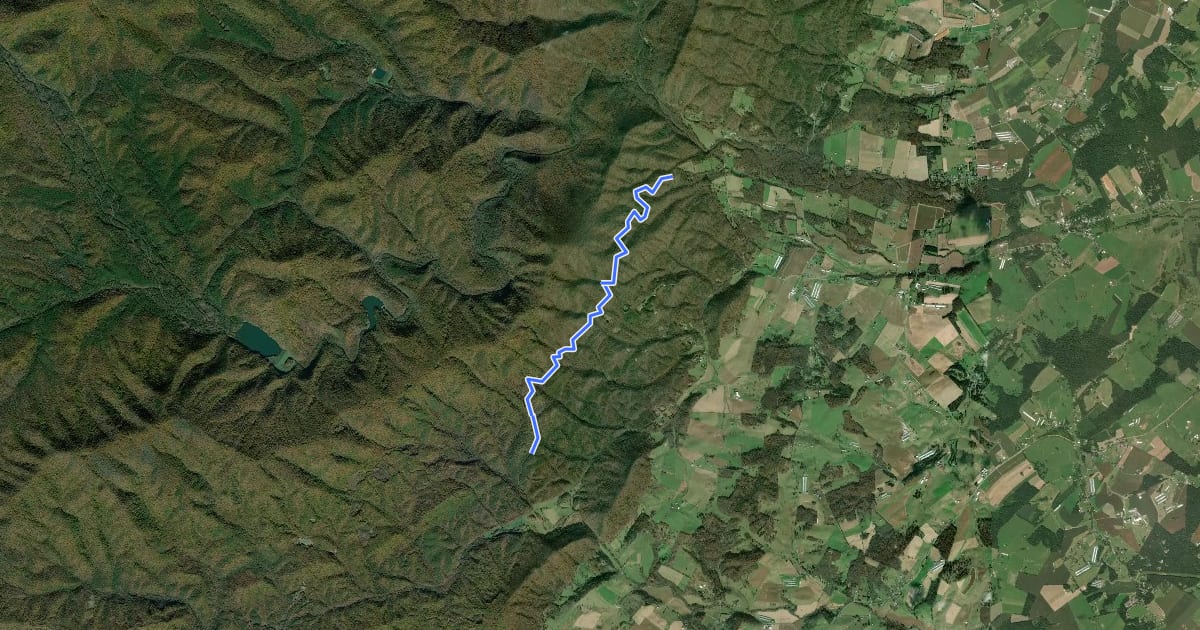 Маршрут Stribling Springs Trail на спутниковом снимке