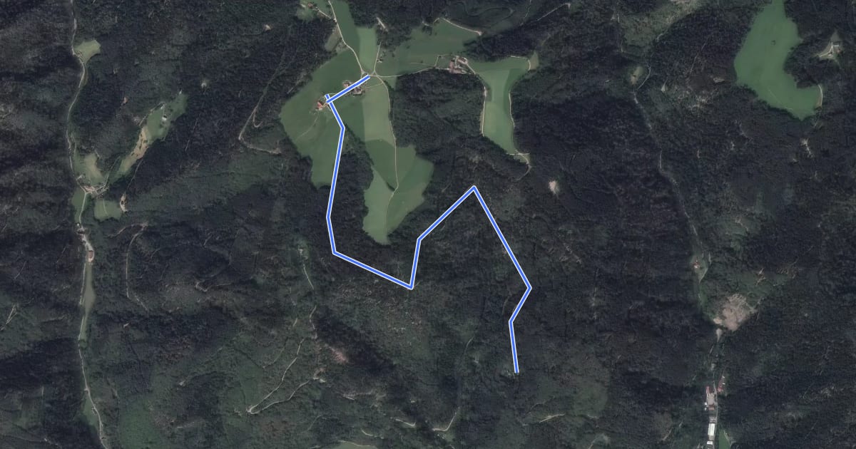 Маршрут Strubenberg - Elmlisberg на спутниковом снимке