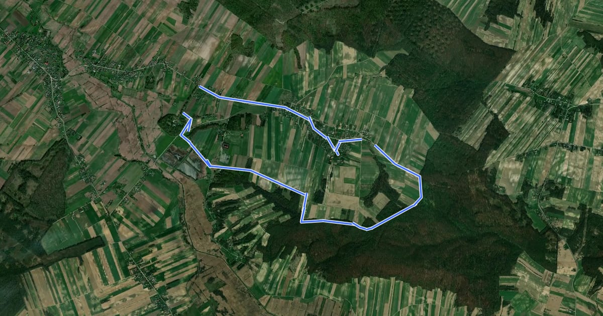 Маршрут Stryjowskie Debry NE - 2019 на спутниковом снимке