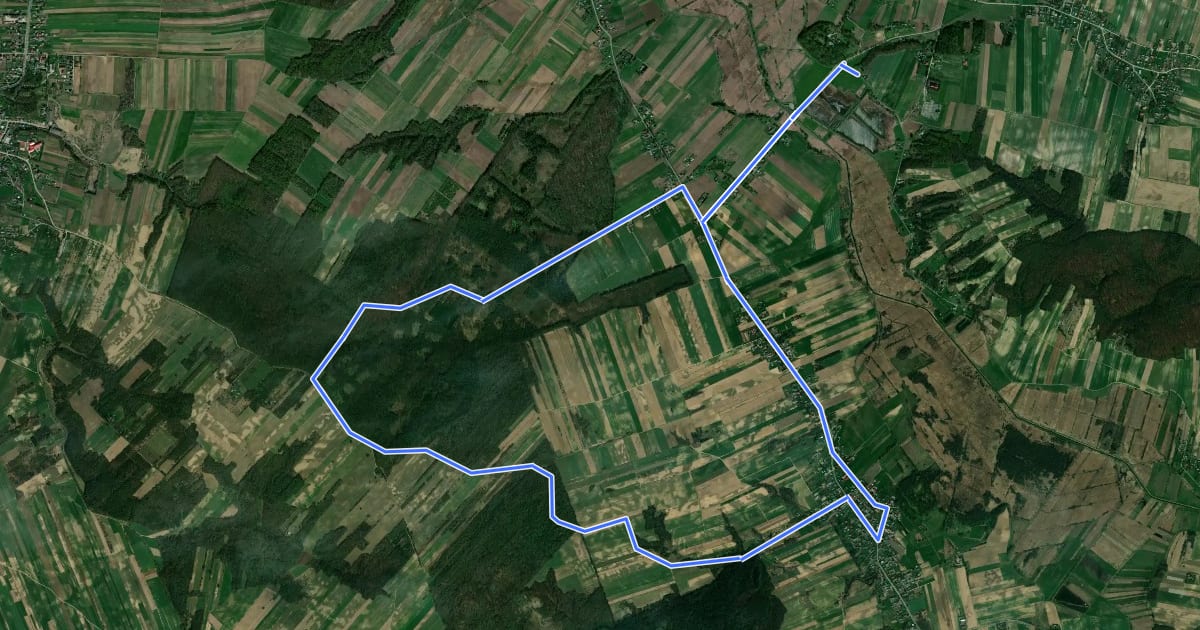 Маршрут Stryjowskie Debry SW - 2019 на спутниковом снимке