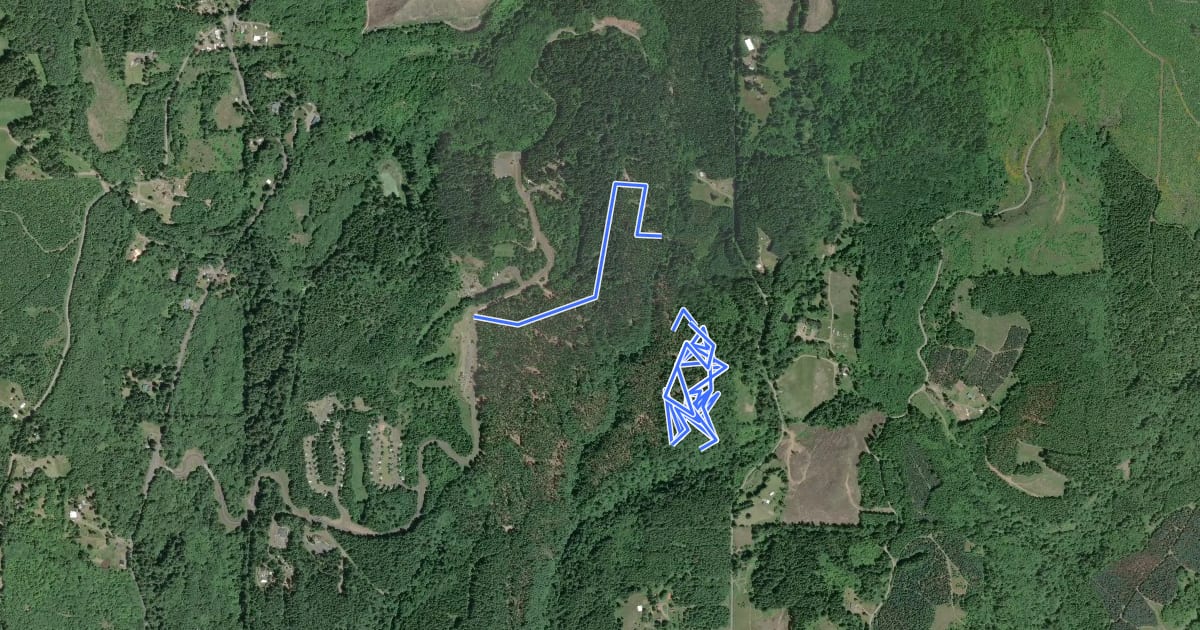 Маршрут Stub Stewart Free Ride Area на спутниковом снимке