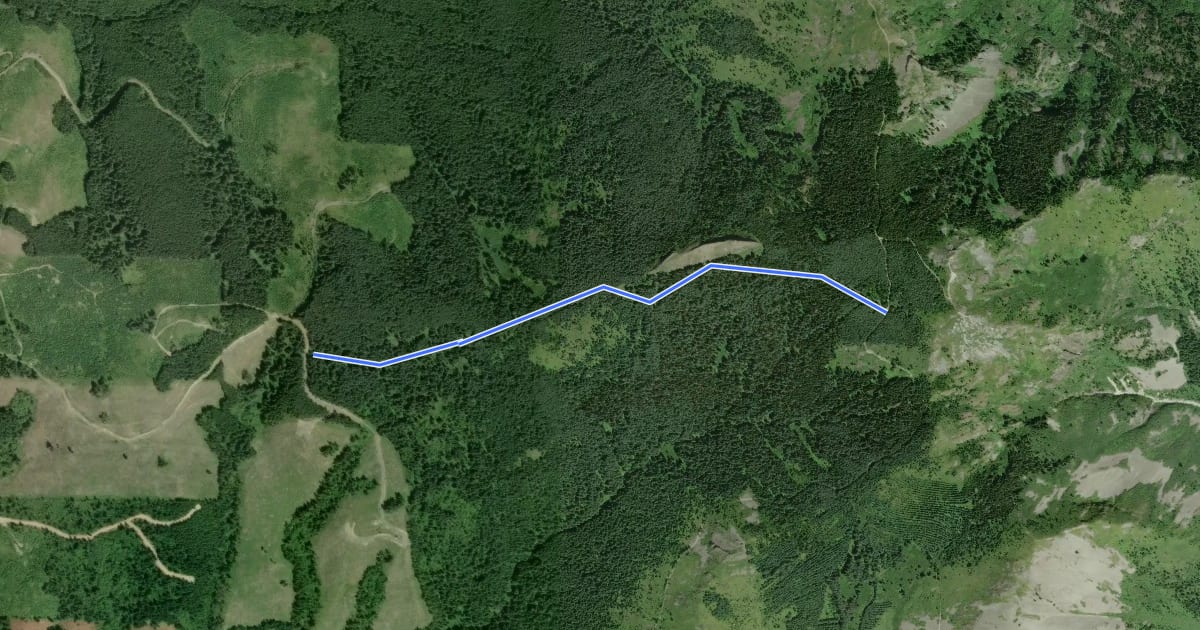 Маршрут Sturgeon Rock Trail на спутниковом снимке