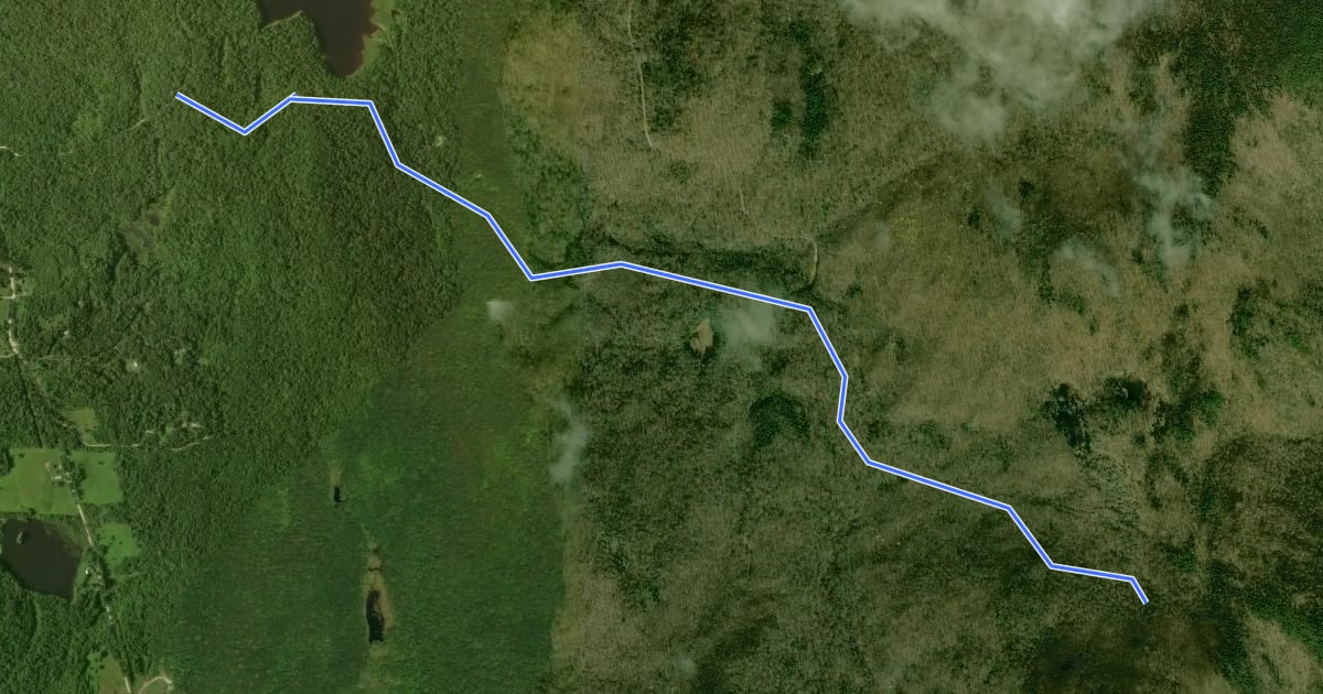 Маршрут Sucker Brook Trail на спутниковом снимке