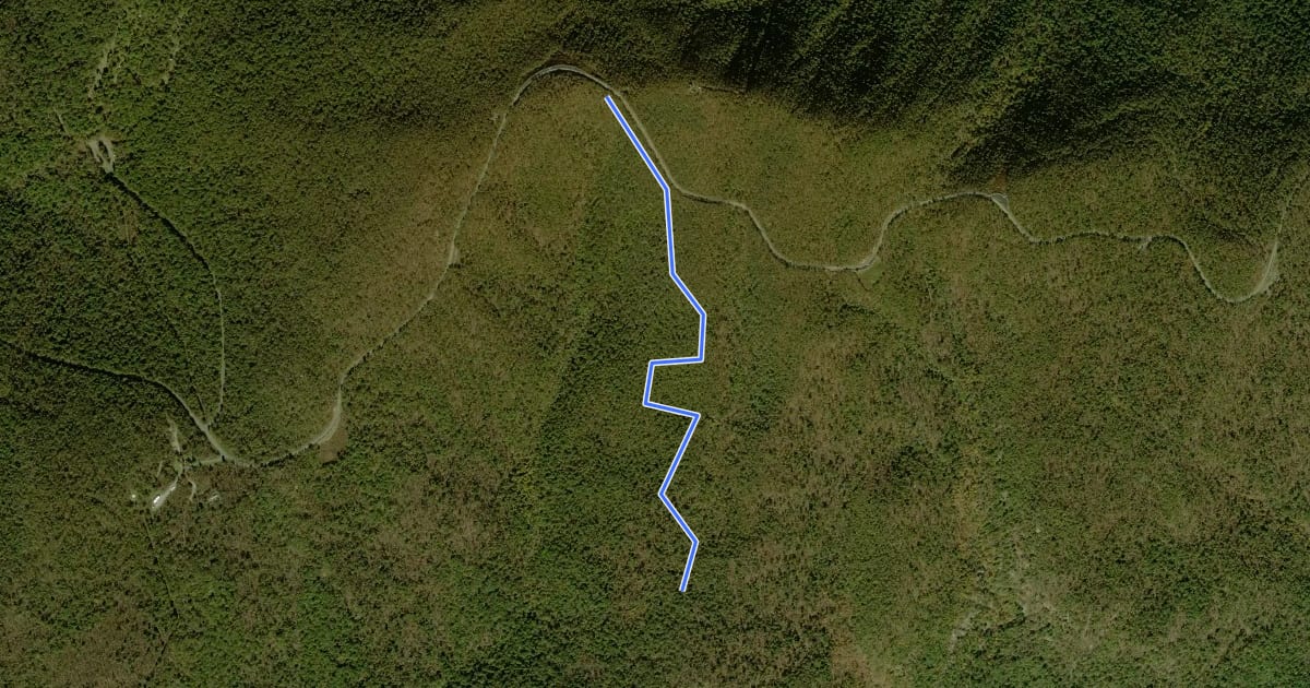 Маршрут Sugarloaf Trail на спутниковом снимке