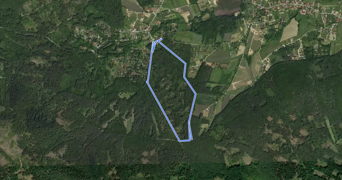 Маршрут Suliwoods Kross Trail на спутниковом снимке