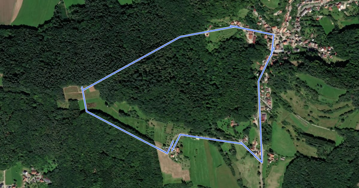 Маршрут Sulzbürger Wanderweg Nr. 1 на спутниковом снимке