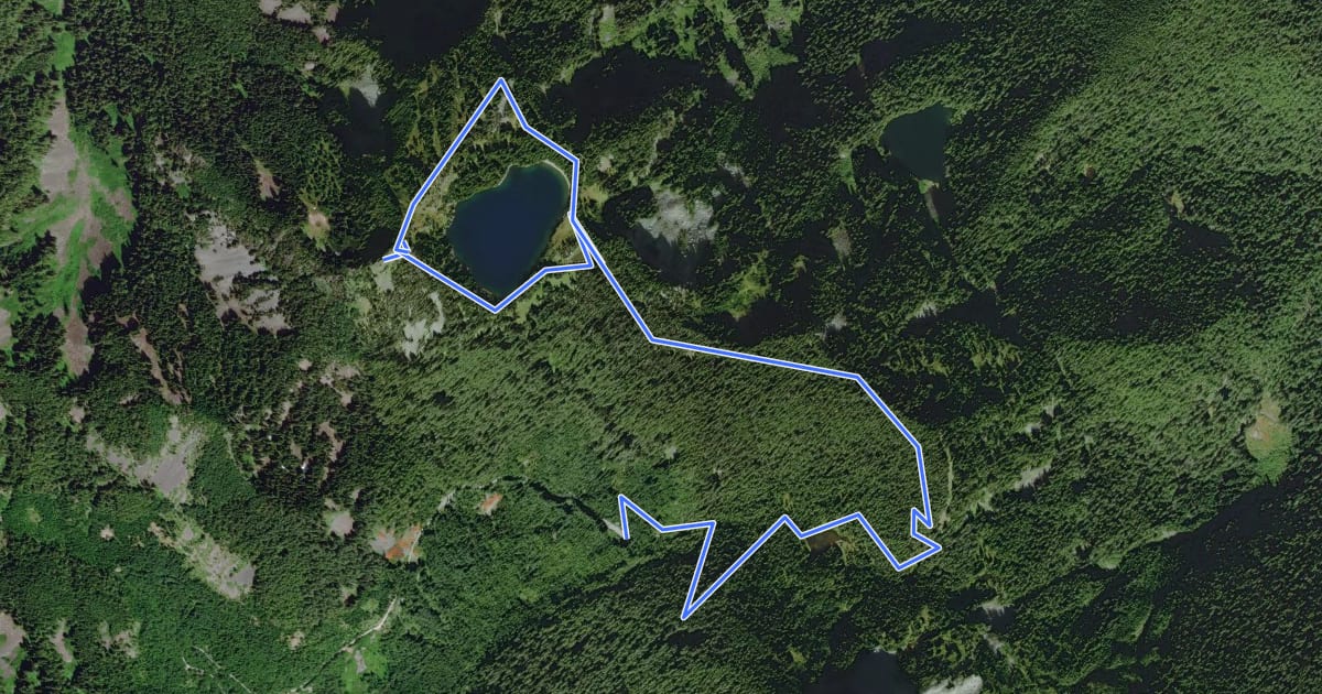 Маршрут Summit Lake Trail на спутниковом снимке