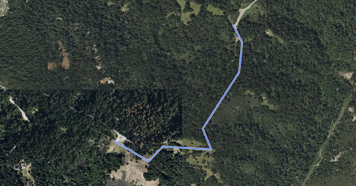 Маршрут Summit Meadows Trail на спутниковом снимке