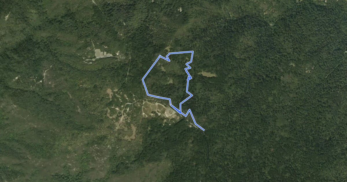 Маршрут Summit Rock Trail на спутниковом снимке