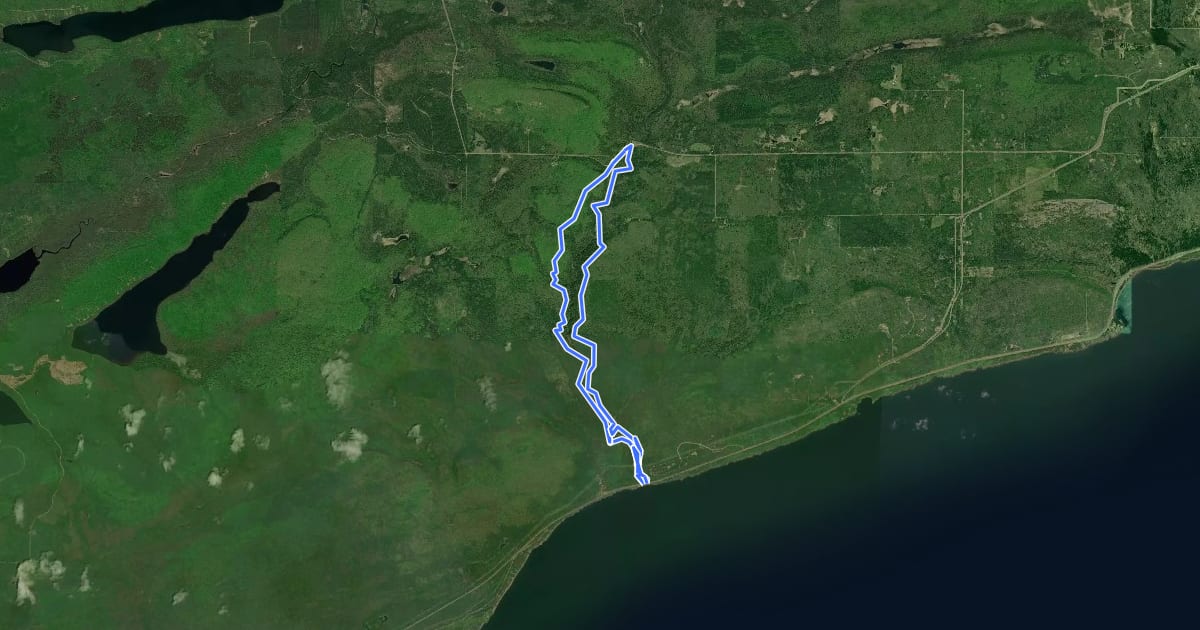 Маршрут Superior Hiking Trail Cascade Loop на спутниковом снимке