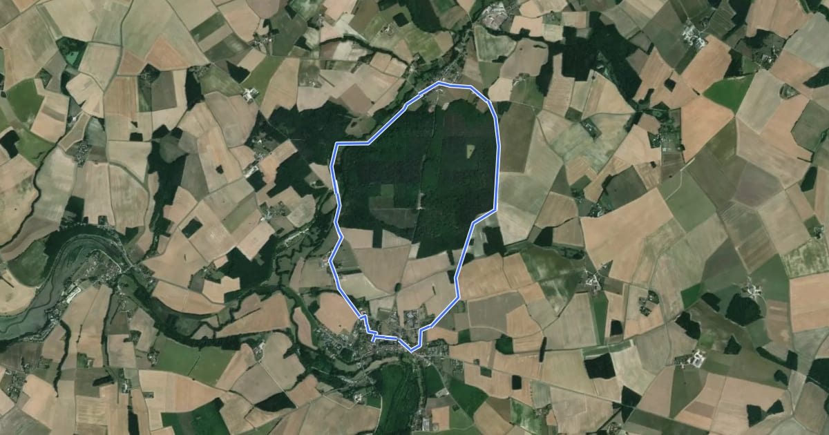 Маршрут Sur les Terres des Comtes - Montrésor на спутниковом снимке