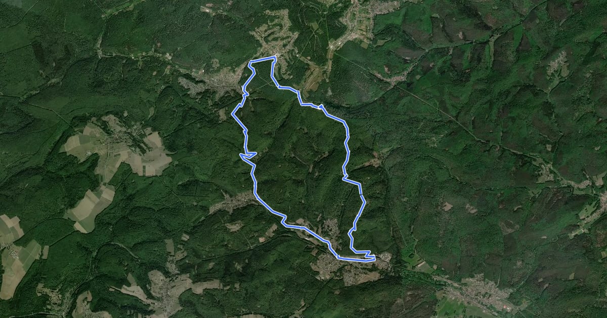 Маршрут Sur les traces des Verriers et des Sabotiers - circuit 1 на спутниковом снимке