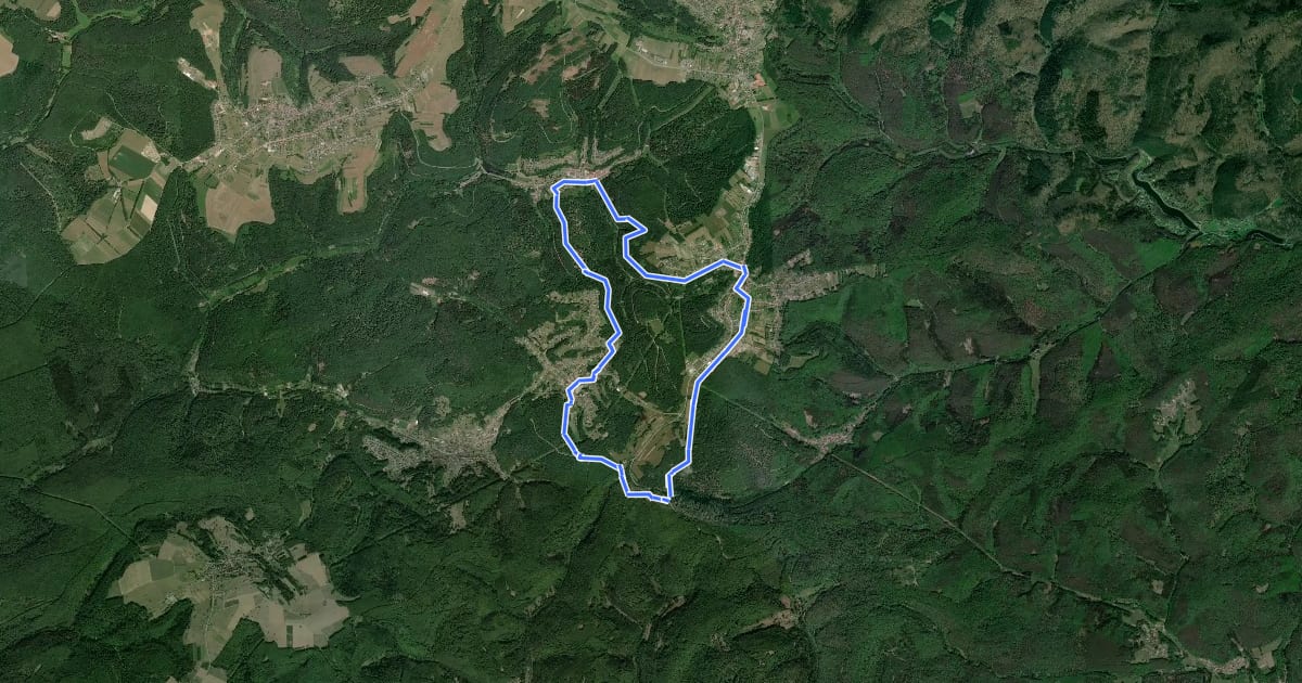 Маршрут Sur les traces des Verriers et des Sabotiers - circuit 2 на спутниковом снимке