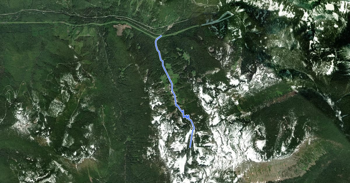 Маршрут Surprise Creek Trail на спутниковом снимке