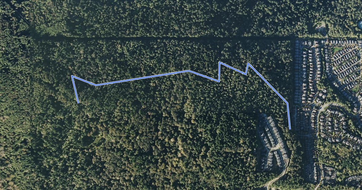 Маршрут Surprise Creek Trail на спутниковом снимке