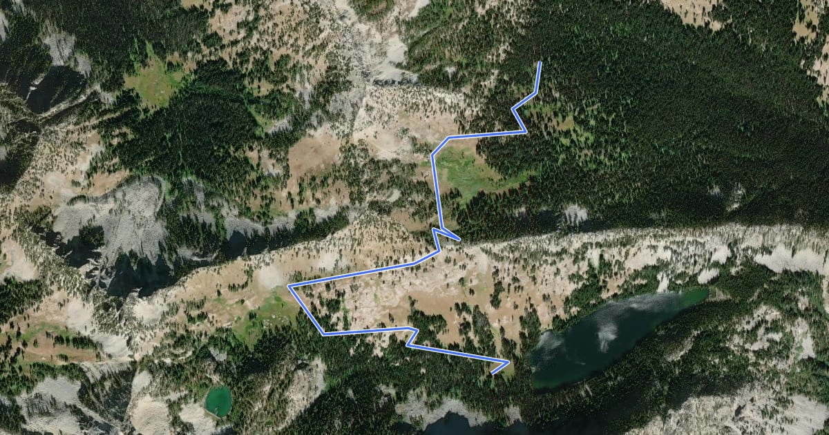 Маршрут Surprise Lake Trail #1249 на спутниковом снимке