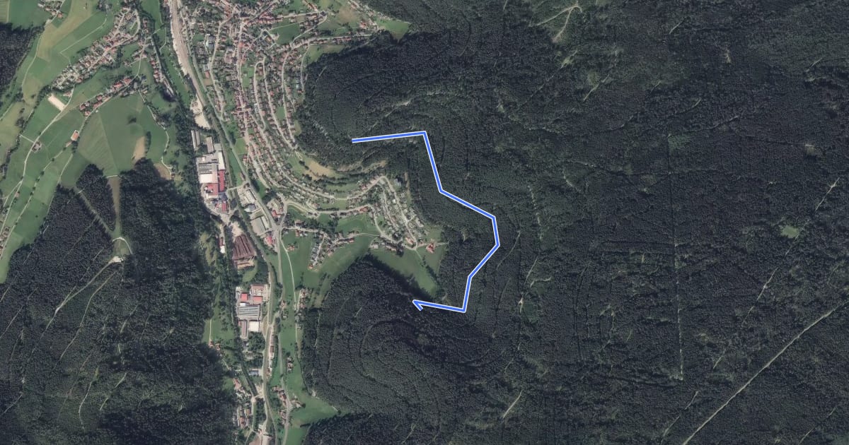 Маршрут Surrbach-Trail на спутниковом снимке