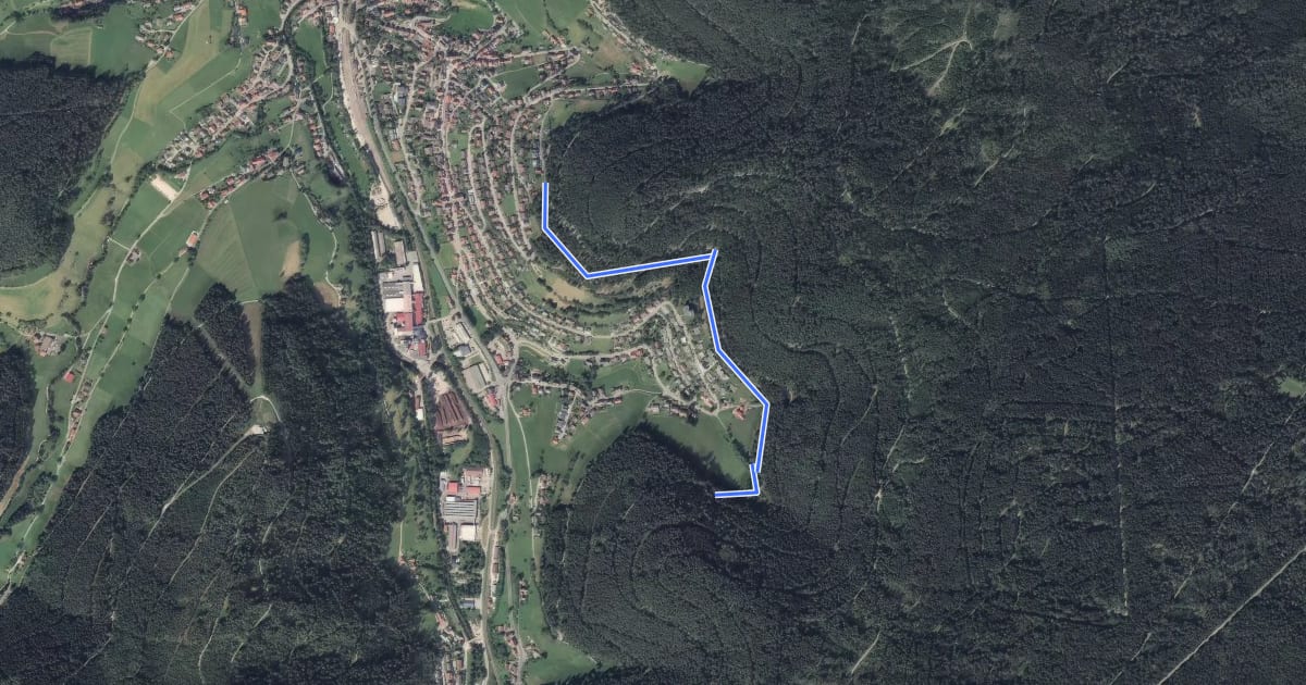 Маршрут Surrbachwegle - Schönblick на спутниковом снимке