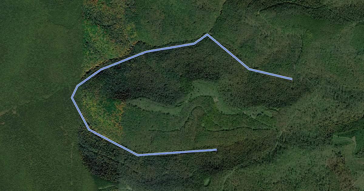 Маршрут Susquehannock - Jamison Run на спутниковом снимке