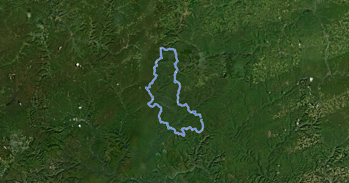 Маршрут Susquehannock Trail System на спутниковом снимке