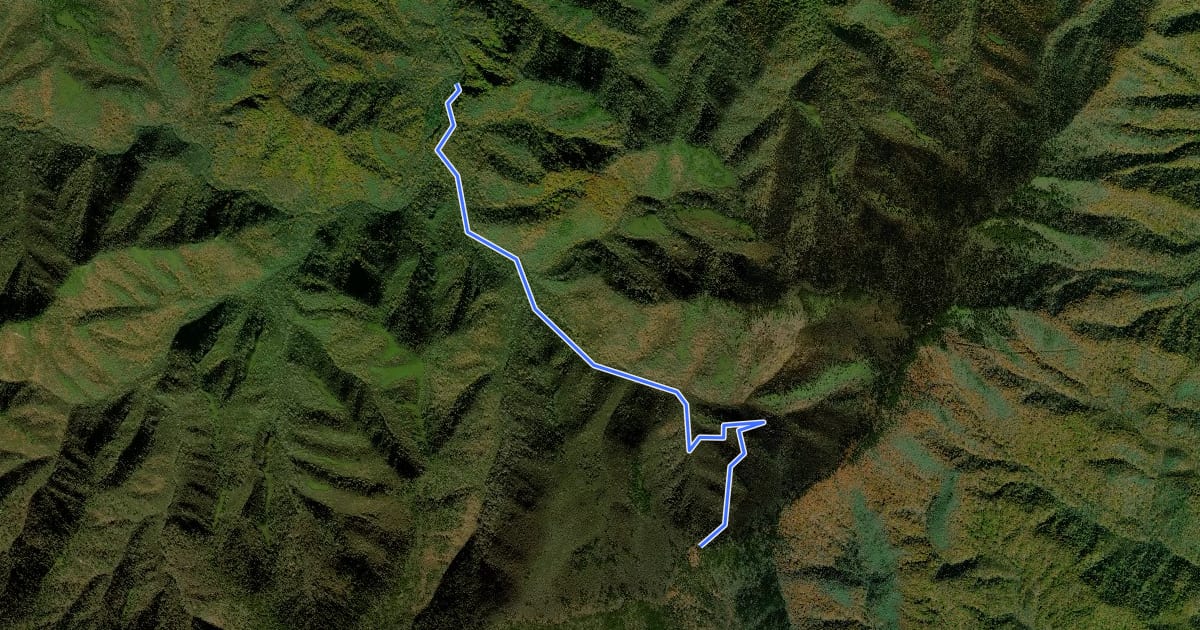 Маршрут Swallow Fork Trail на спутниковом снимке