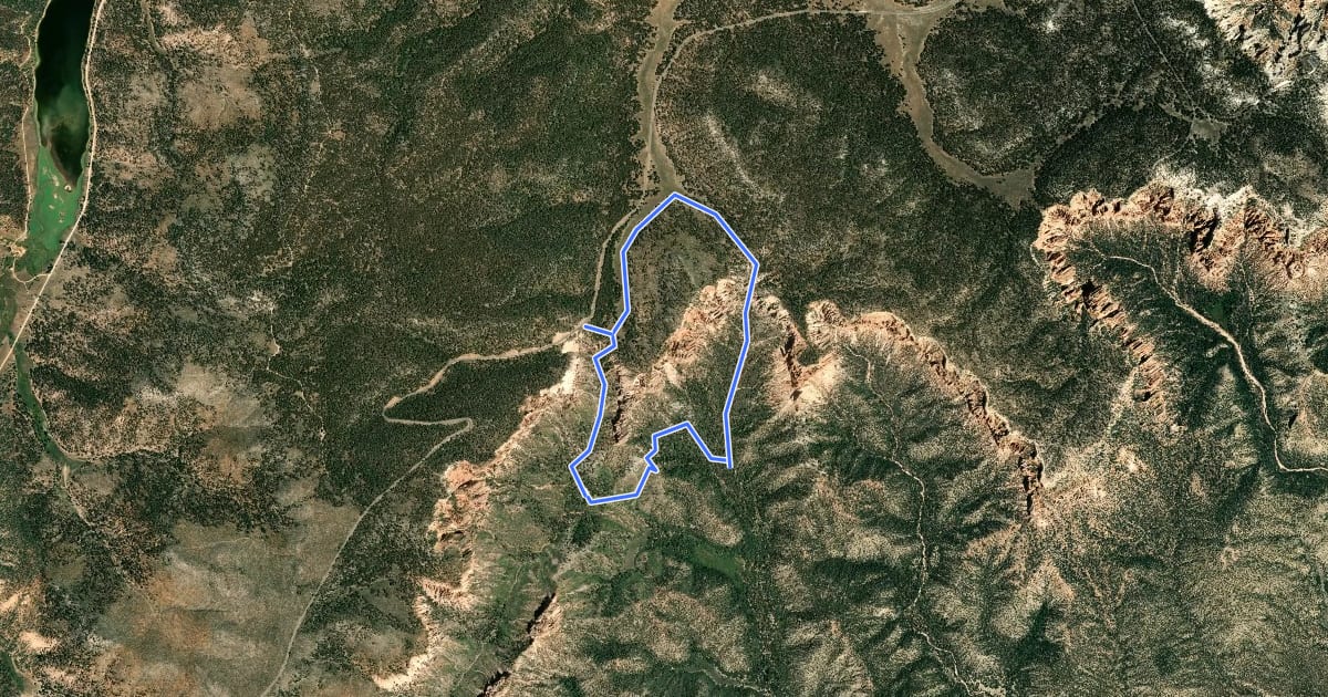 Маршрут Swamp Canyon Loop на спутниковом снимке