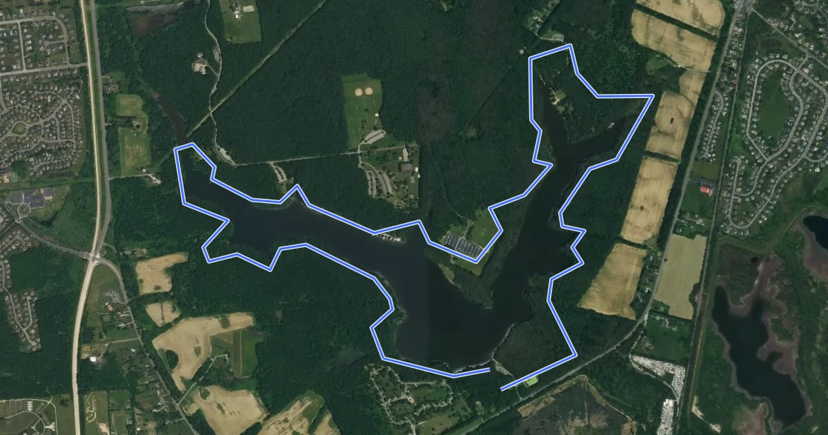 Маршрут Swamp Forest Trail на спутниковом снимке