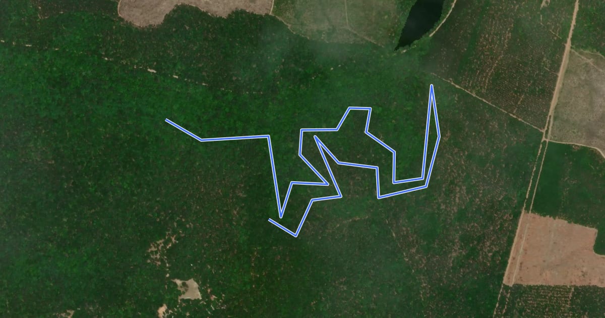 Маршрут Swamp Fox Trail на спутниковом снимке