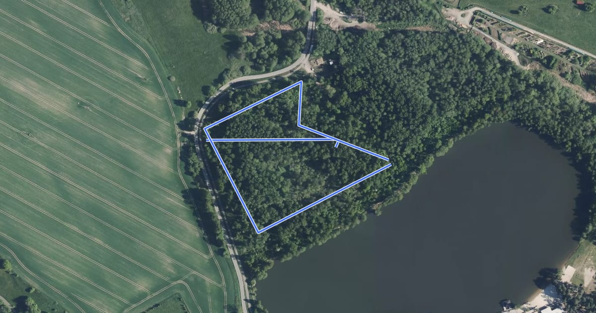 Маршрут Swamp trail на спутниковом снимке