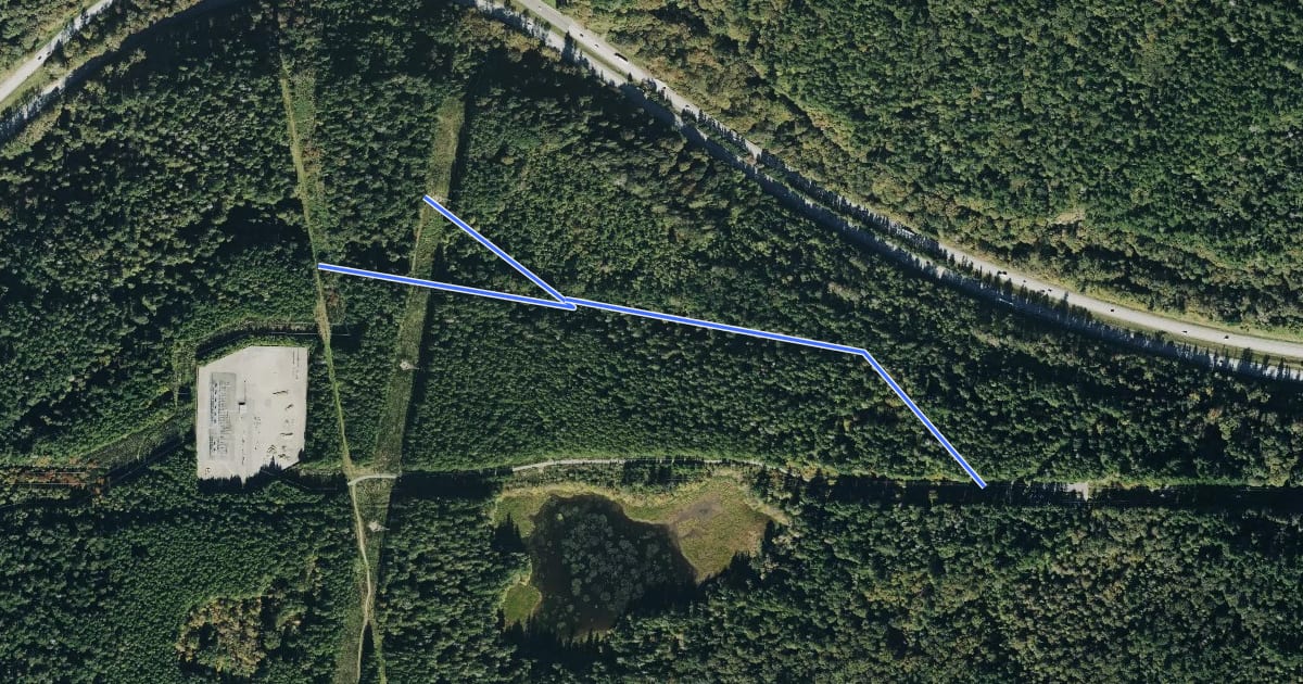 Маршрут Swamp Trail на спутниковом снимке
