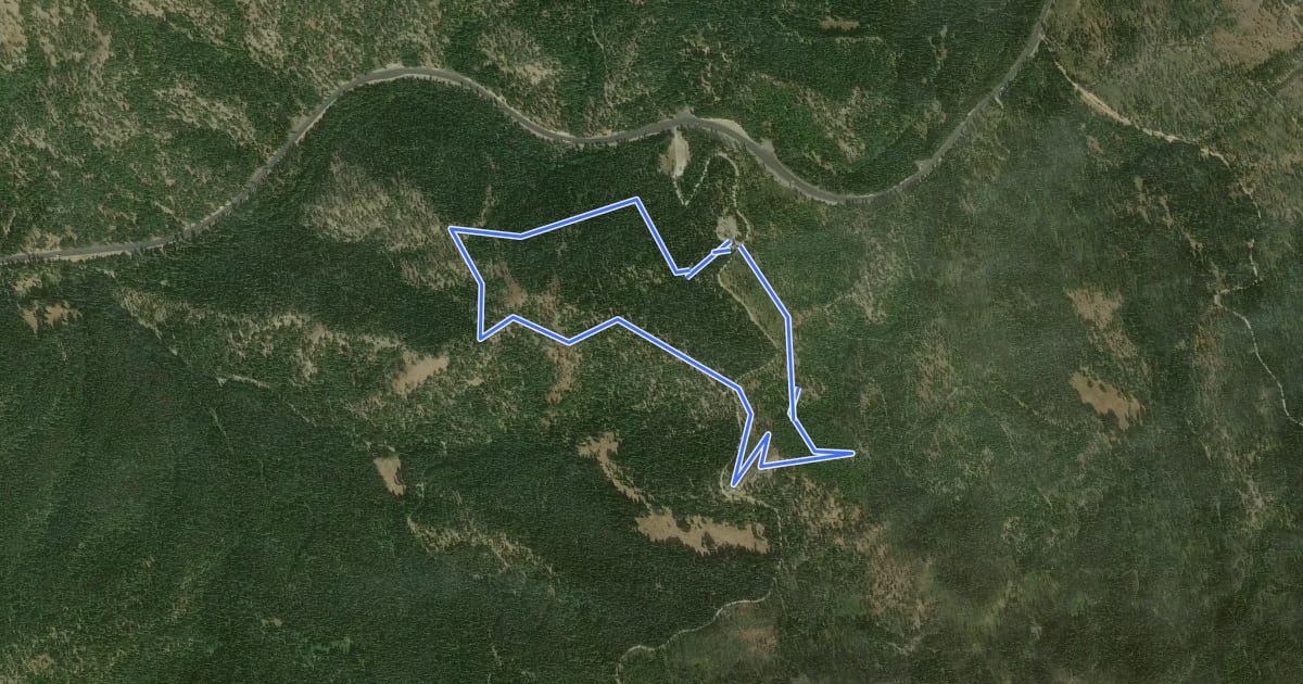 Маршрут Swauk Forest Discovery Trail на спутниковом снимке
