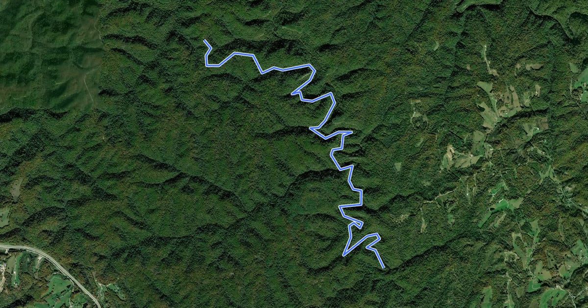 Маршрут Swift Camp Creek Trail #219 на спутниковом снимке