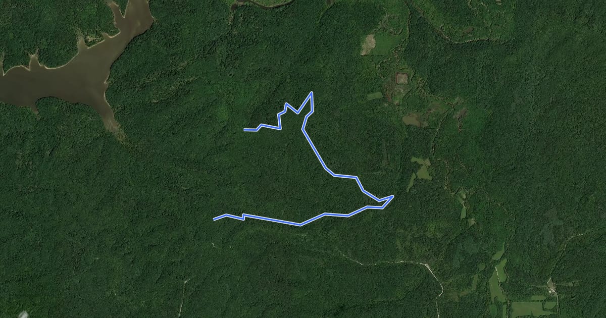 Маршрут Sycamore Trail на спутниковом снимке
