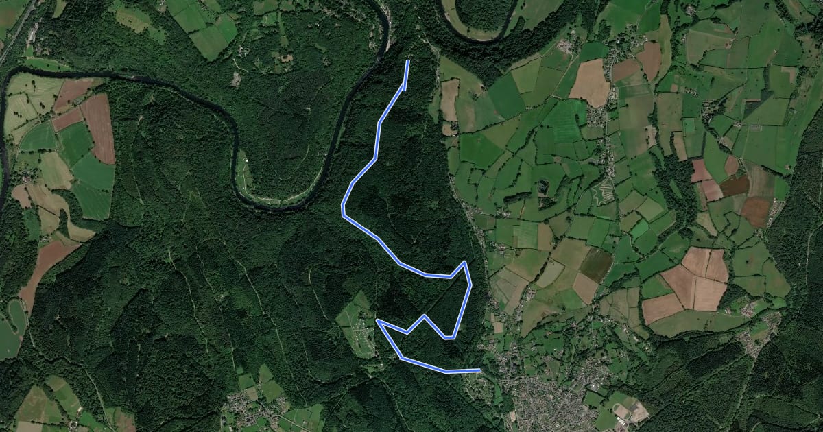 Маршрут Symond's Yat Rock на спутниковом снимке
