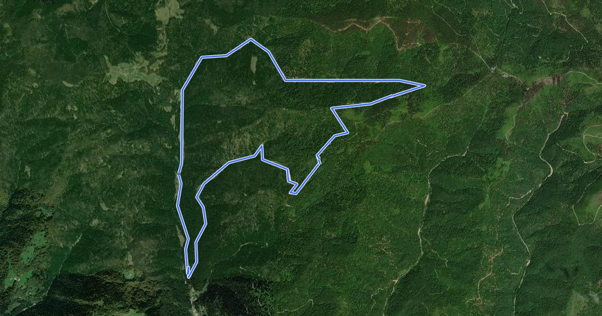Маршрут Szczawnica Sewerynówka на спутниковом снимке