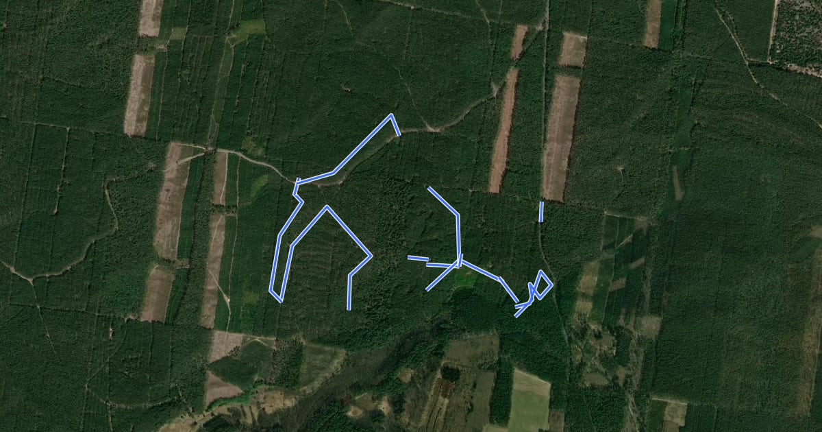 Маршрут Szwedzka Trails на спутниковом снимке