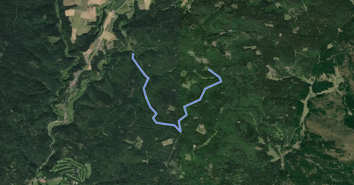 Маршрут T 3 Otterbachtal - Aschenbrennermarter на спутниковом снимке