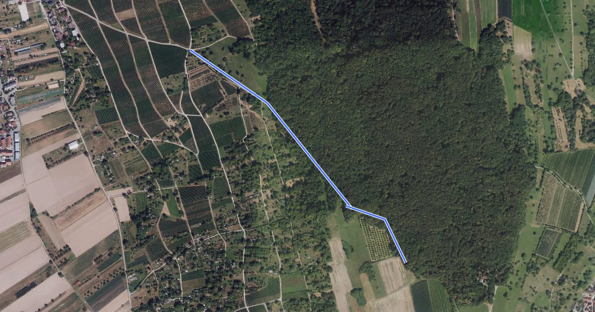 Маршрут Tüllinger Weg - Tüllingen Lindenplatz на спутниковом снимке