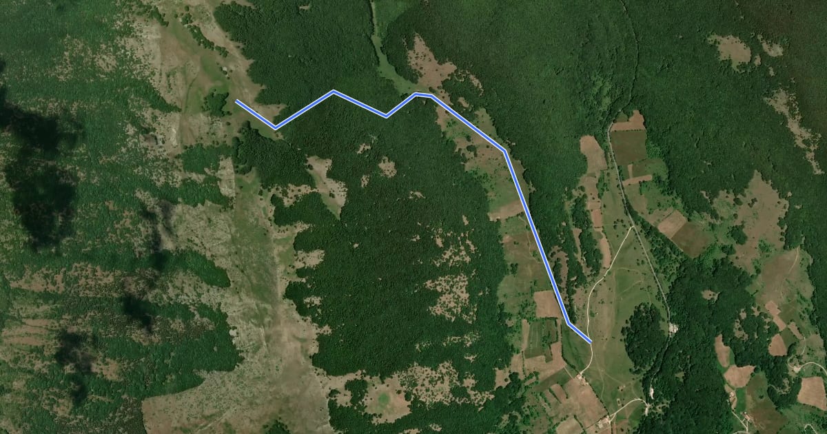 Маршрут T4 на спутниковом снимке