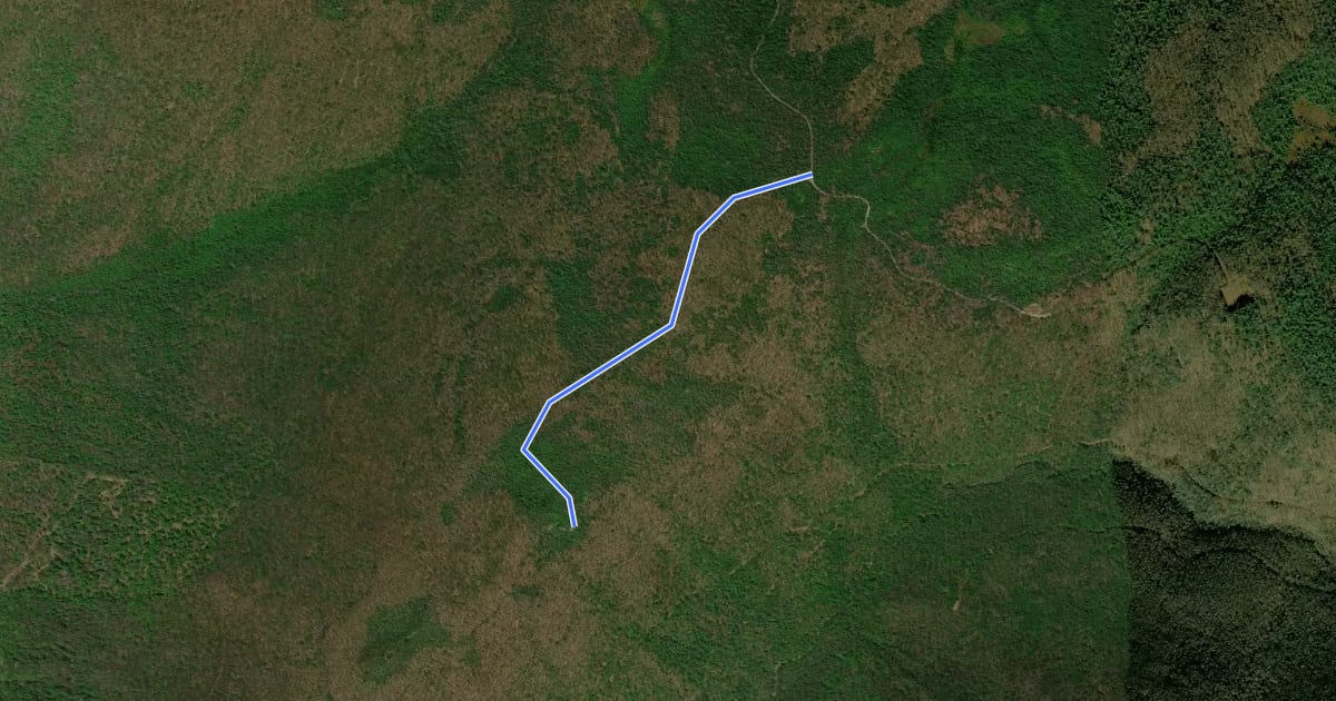 Маршрут Table Rock Trail на спутниковом снимке