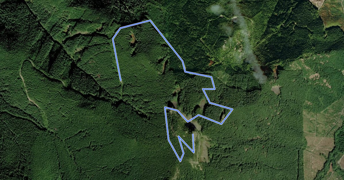 Маршрут Table Rock Trail на спутниковом снимке
