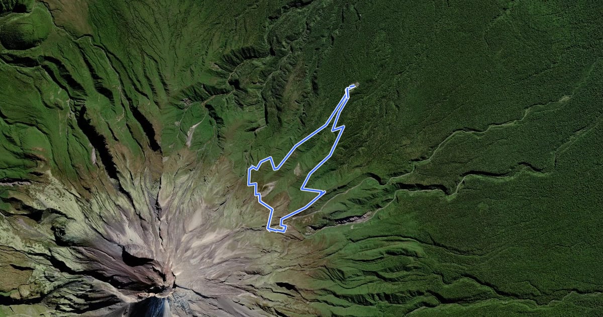 Маршрут Tahurangi Translator Tower Round Trip на спутниковом снимке