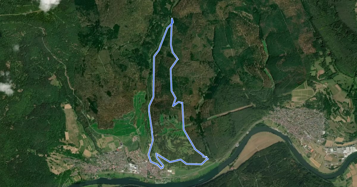 Маршрут Tal-Wald-Burg на спутниковом снимке