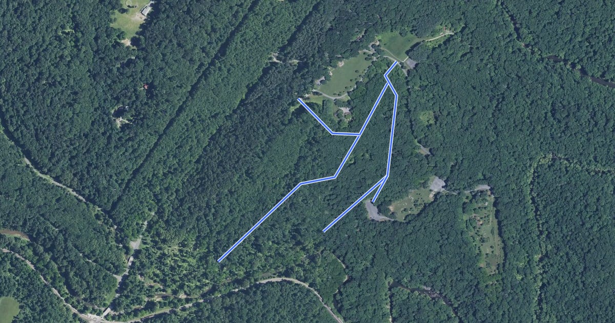 Маршрут Tall Poplar Trail на спутниковом снимке