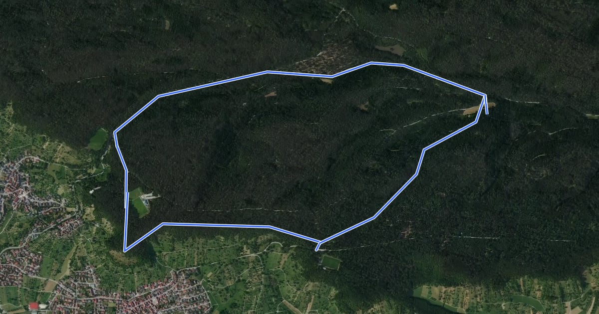 Маршрут Talwiesenweg на спутниковом снимке