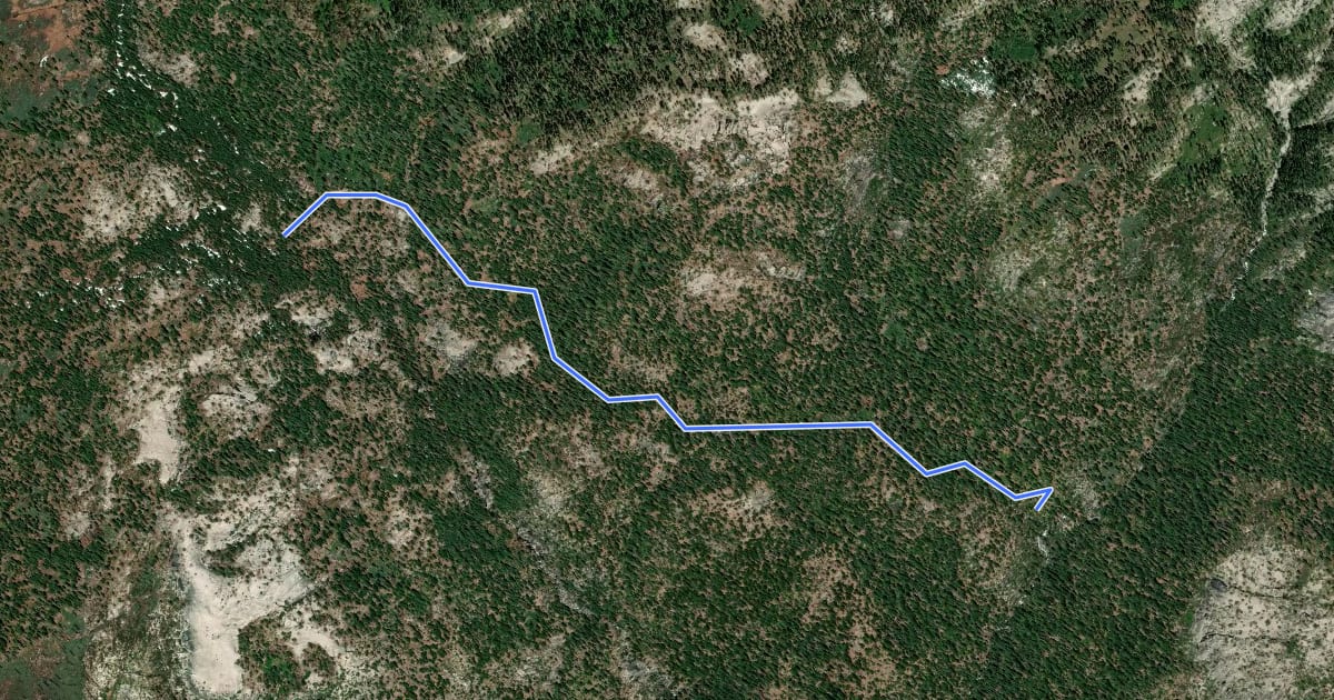 Маршрут Tamarack Flat Trail на спутниковом снимке