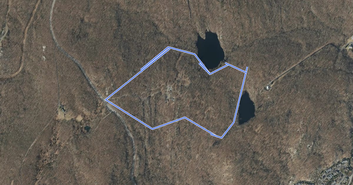 Маршрут Tamarack Loop на спутниковом снимке