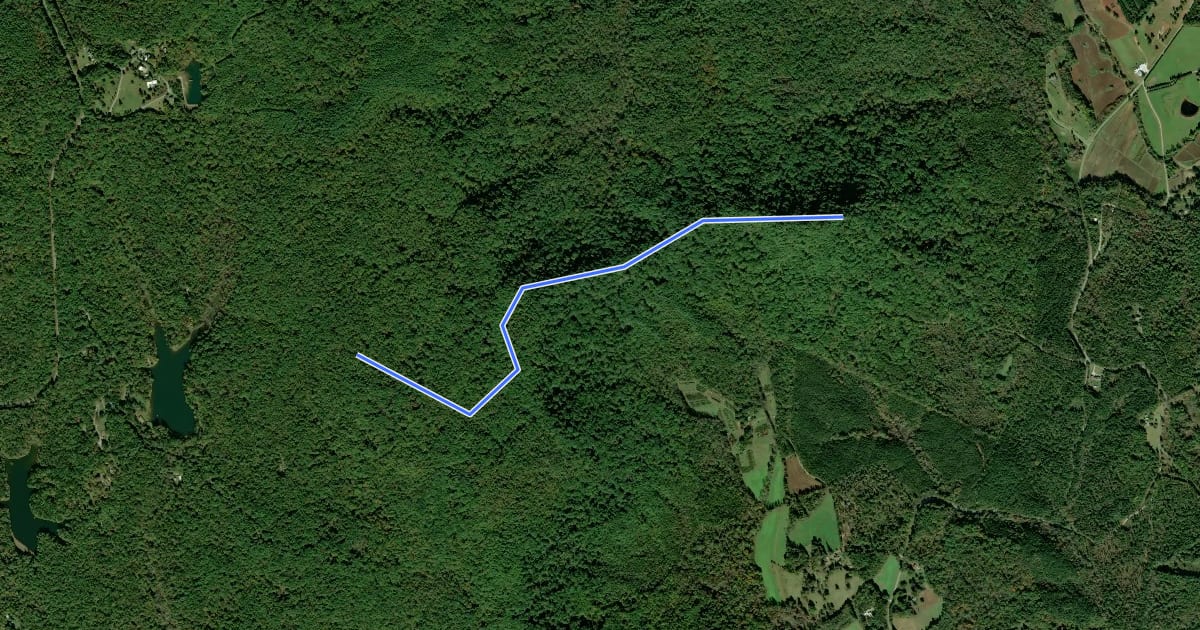 Маршрут Tamassee Knob Trail на спутниковом снимке